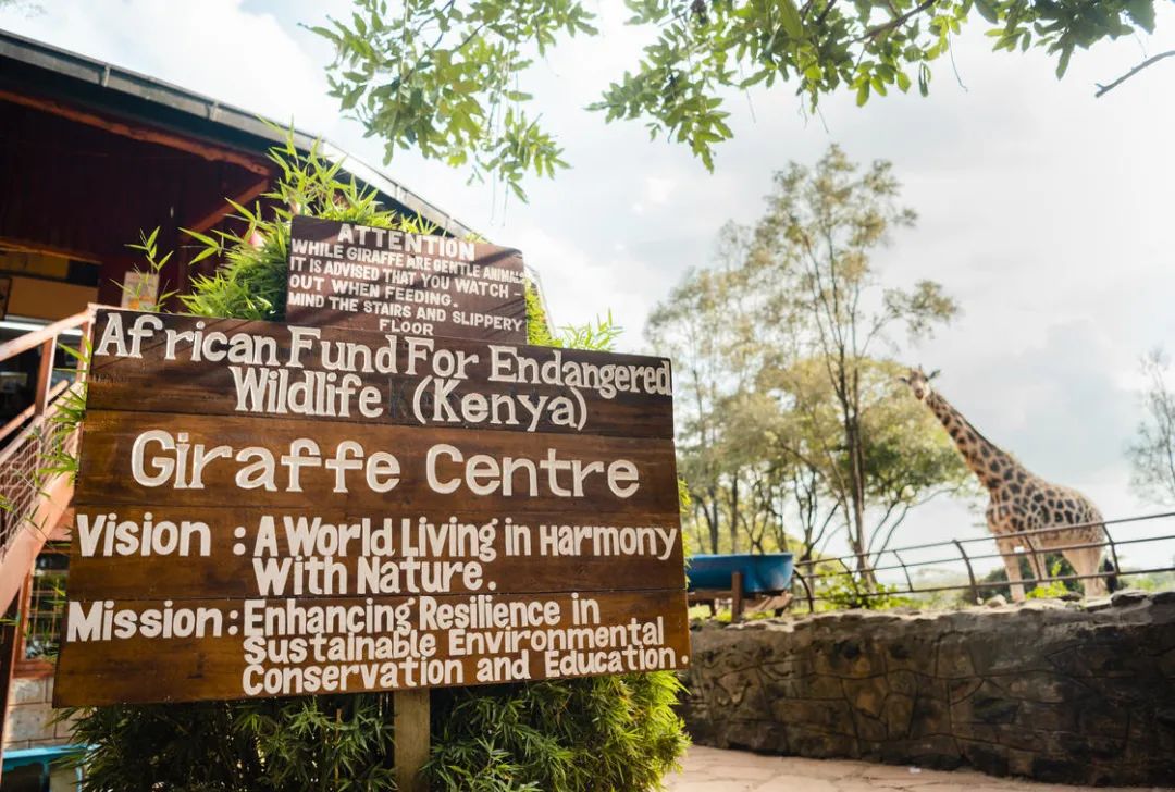 1684206826058.jpg 59.jpg